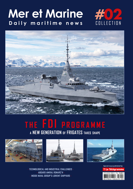 Special issue: The FDI programme (English edition)